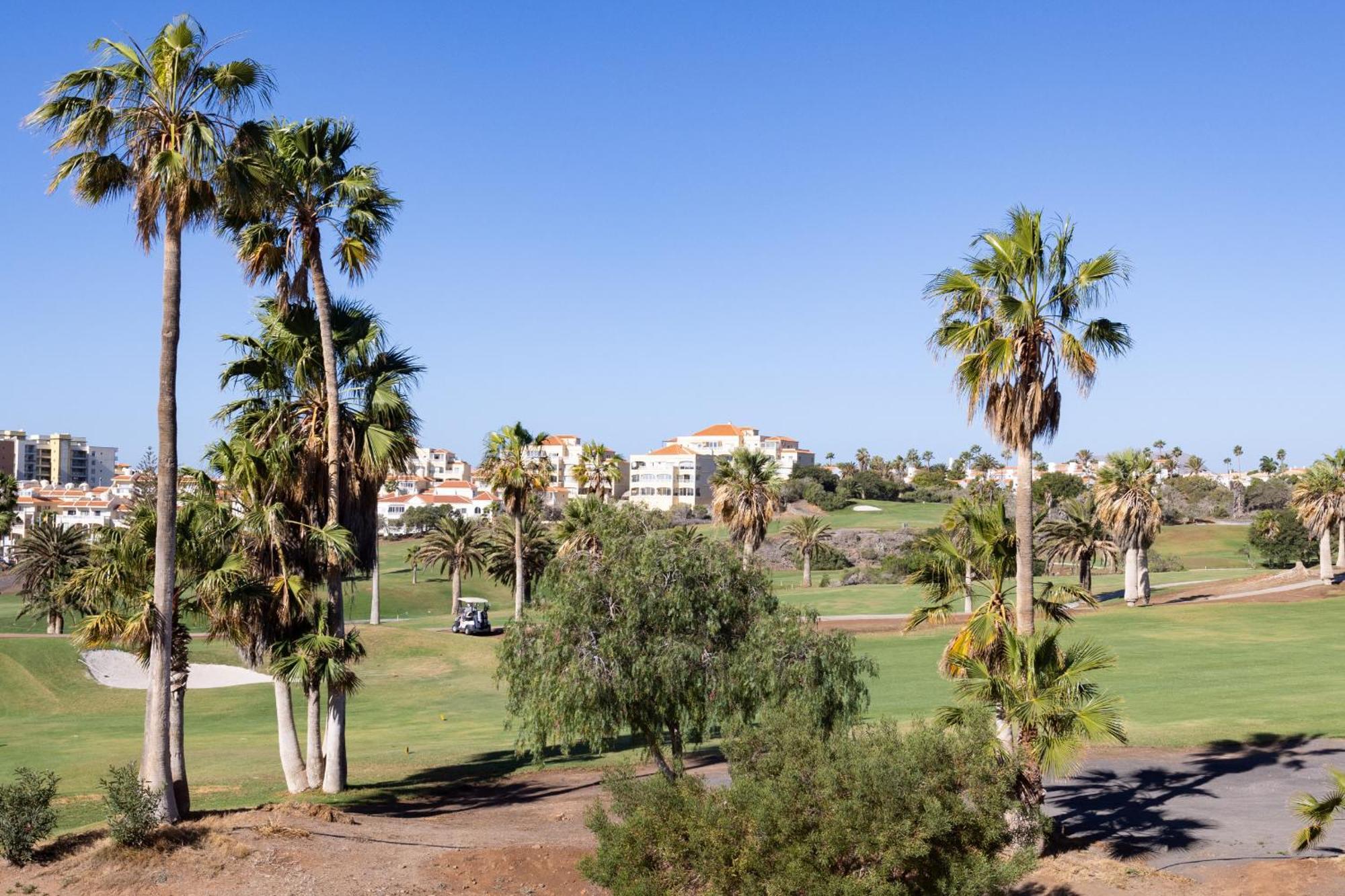 Nice Apt With Terrace In Golf Del Sur 圣米格尔德阿沃纳 外观 照片